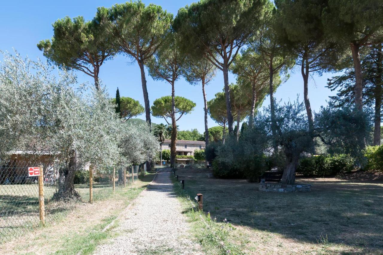 Dolce Far Niente Apartment With Pool & Parking Passignano sul Trasimeno Buitenkant foto